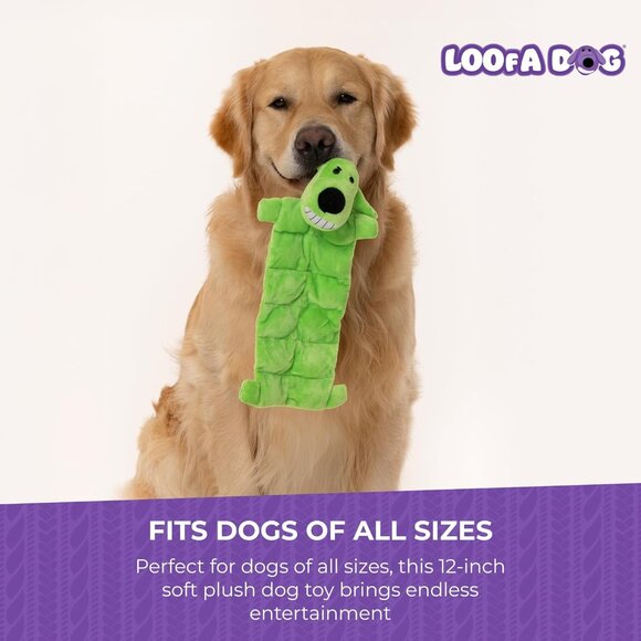 12-Inch Squeaker Mat Soft Plush Dog Toy with 13 Squeakers, Colors may vary - Picture 7 of 8